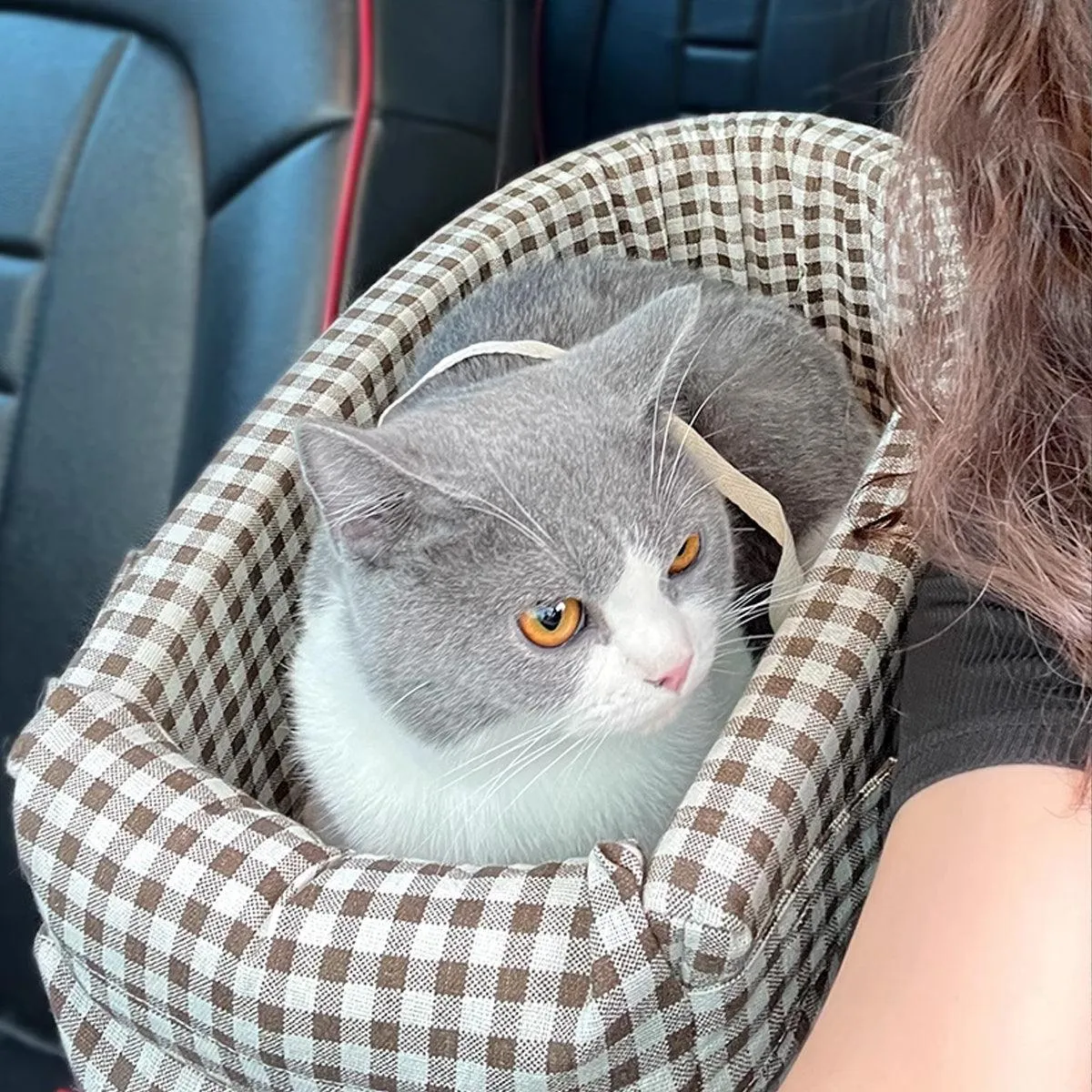 Portable Pet Car Carrier Seat Mat for Dog Cat Travel Comfort Safety