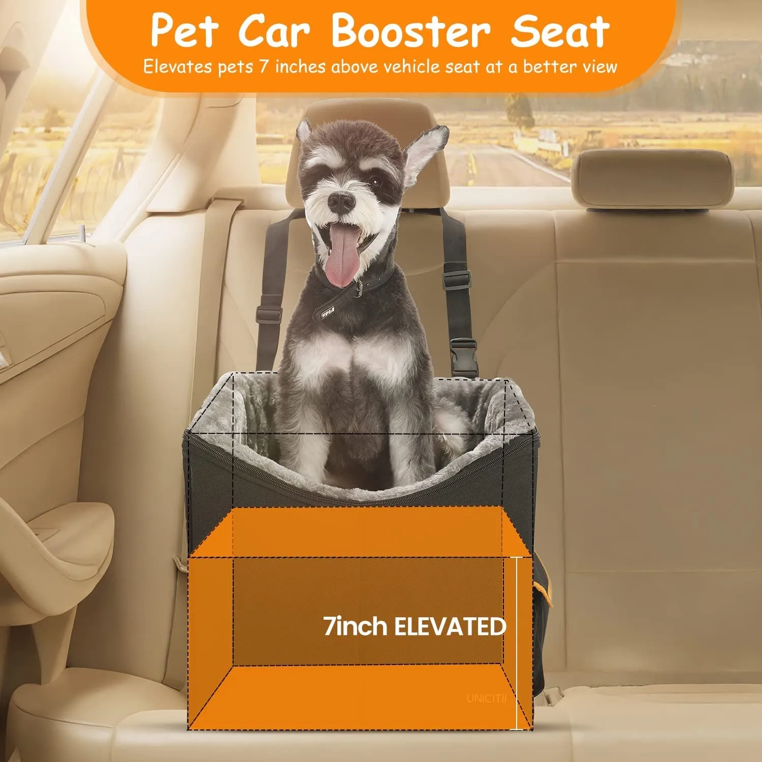 Privacy-focused Dog Dogs. Small Chic for Car Seat