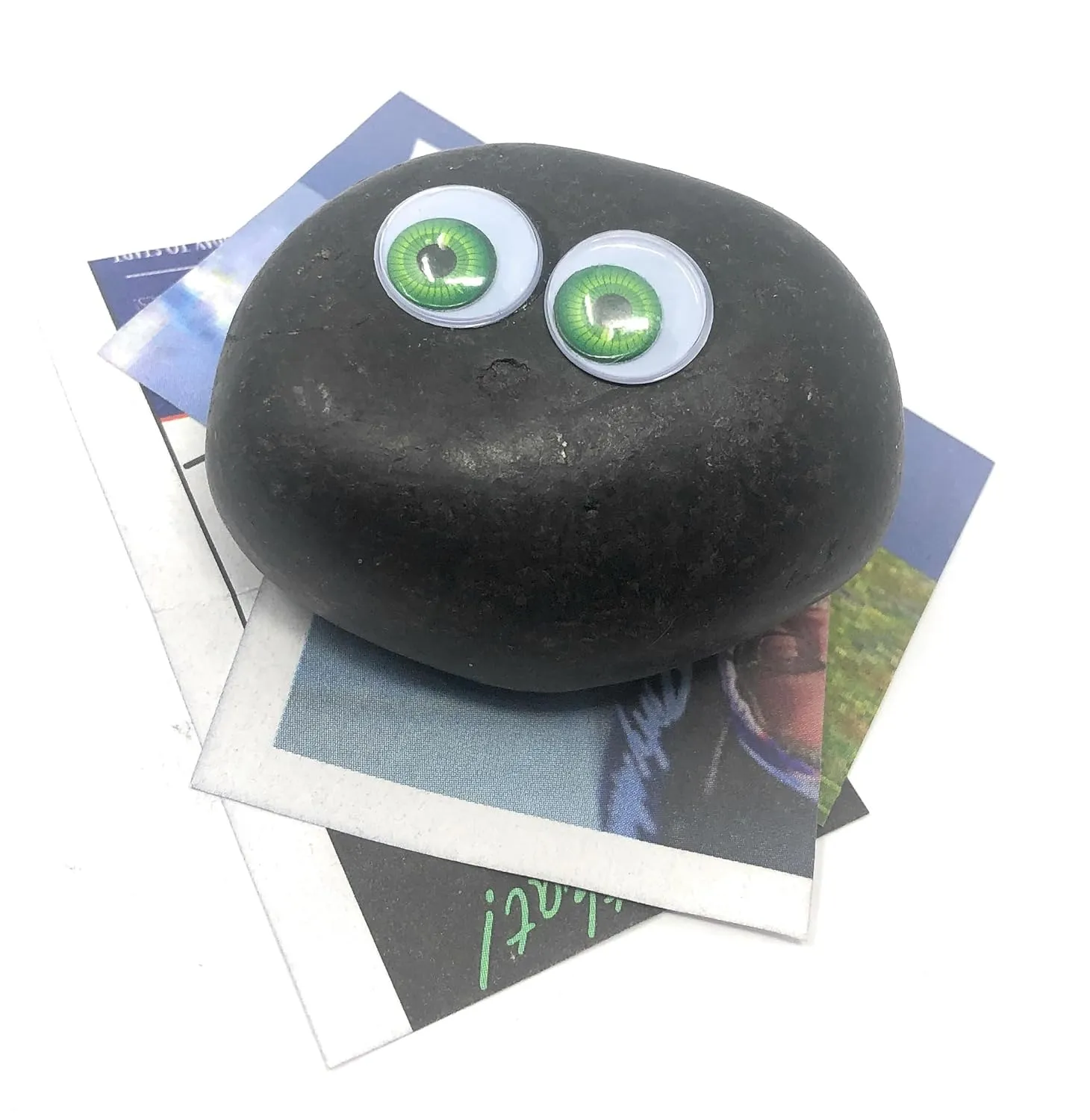 Rock Pet Adoption Kit Funny Novelty Gag Gift (Green Eyes)