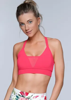Scarlet Sports Bra