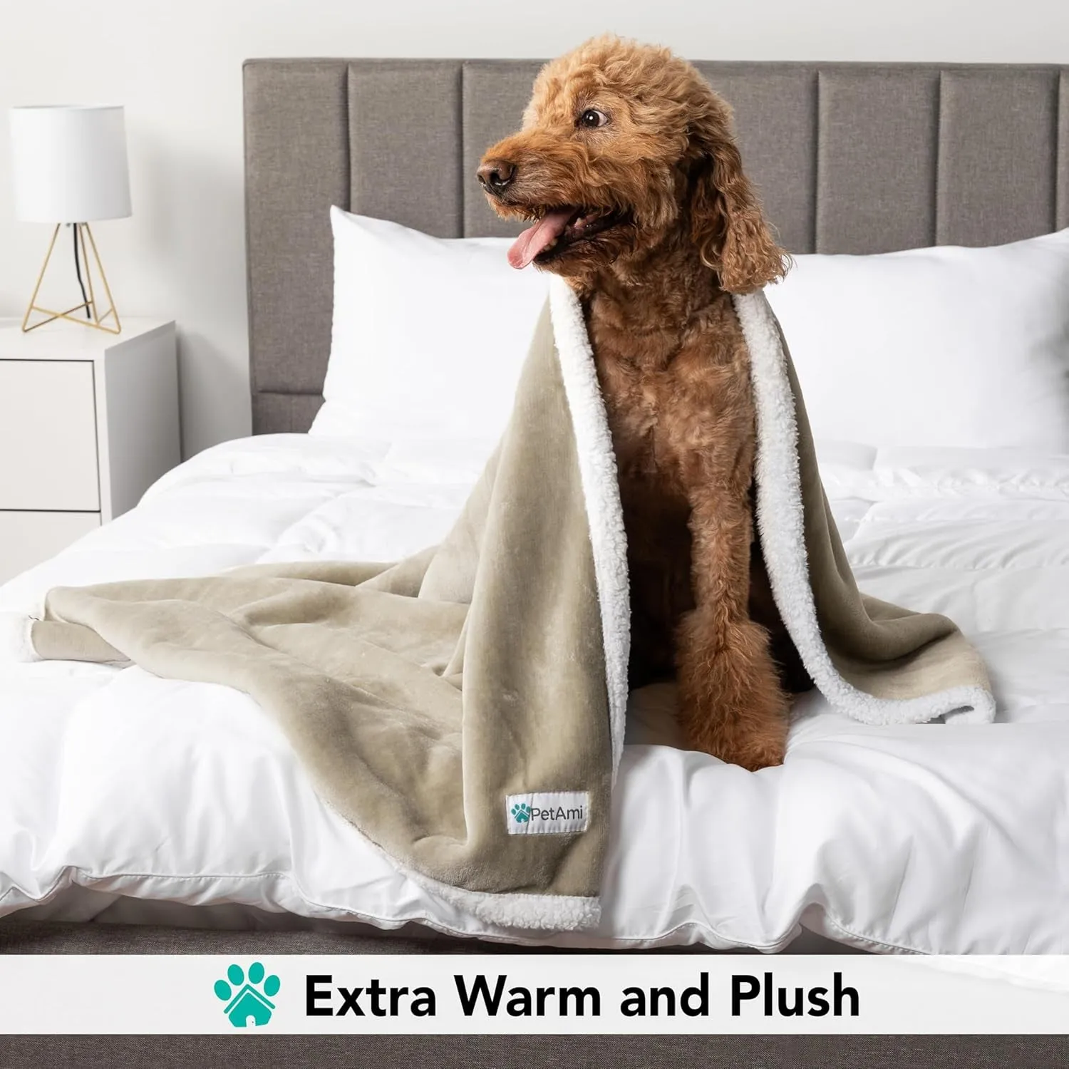 Sherpa Pet Washable, Couch Blanket Outstanding support Protector Dog On-time delivery Crate Plush Bed, Large Throw for Twin Blanket Taupe Reversible Car Soft 60X80 Dogs, Kennel, Sofa Cover Cat Furniture Fleece XL