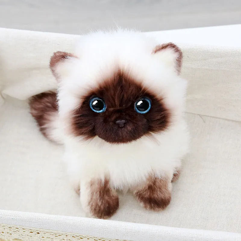 Siamese Kitten Plush Toy Cute Cat Figurine Doll Girl Gift