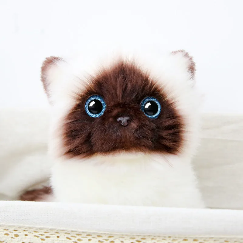 Siamese Kitten Plush Toy Cute Cat Figurine Doll Girl Gift