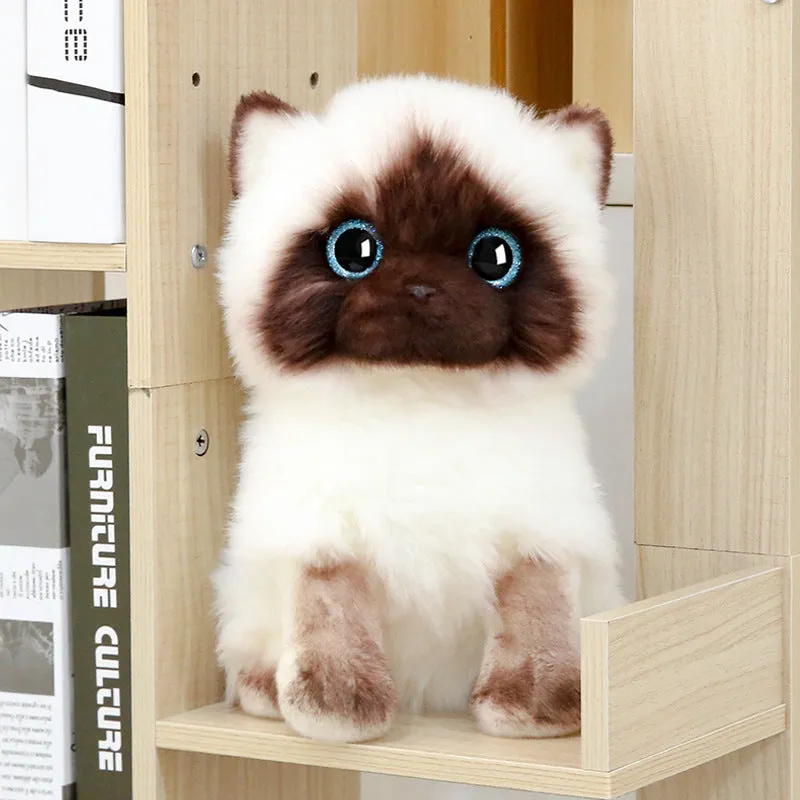 Siamese Kitten Plush Toy Cute Cat Figurine Doll Girl Gift