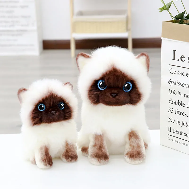 Siamese Kitten Plush Toy Cute Cat Figurine Doll Girl Gift