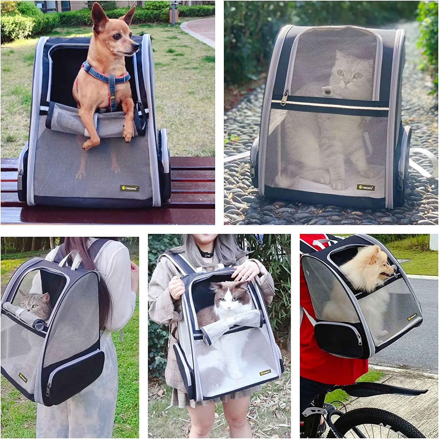 Sleek Black Space Bubble Backpack for Pets on the Go