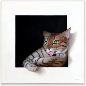 Stupell Industries Manx Cat Grooming Green Eyes Optical Illusion, Design by Alan Weston