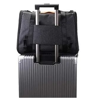 The Pet Carrier