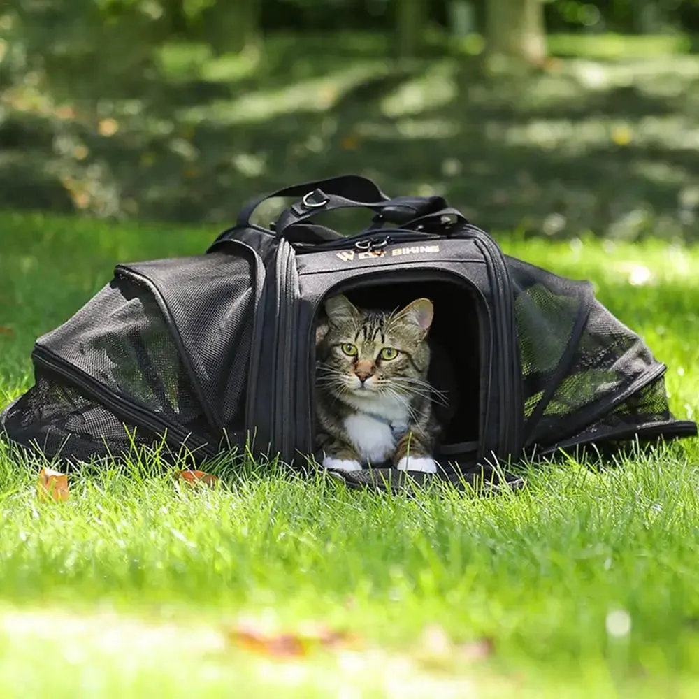 Universal Bicycle Pet Rear Seat Bag