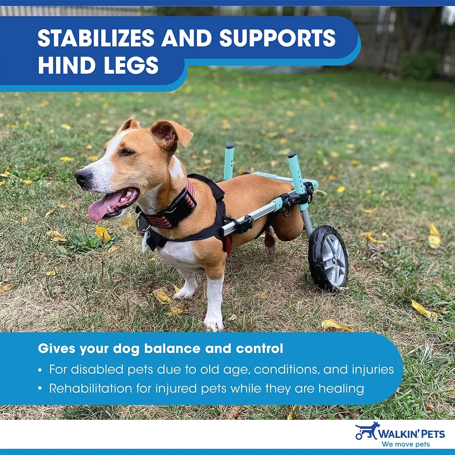 Walkin' Wheels Small Dog Wheelchair, Lightweight Dog Wheelchair for Back Legs, 15-25 lbs, for 9-11 inches Leg Height - Blue
