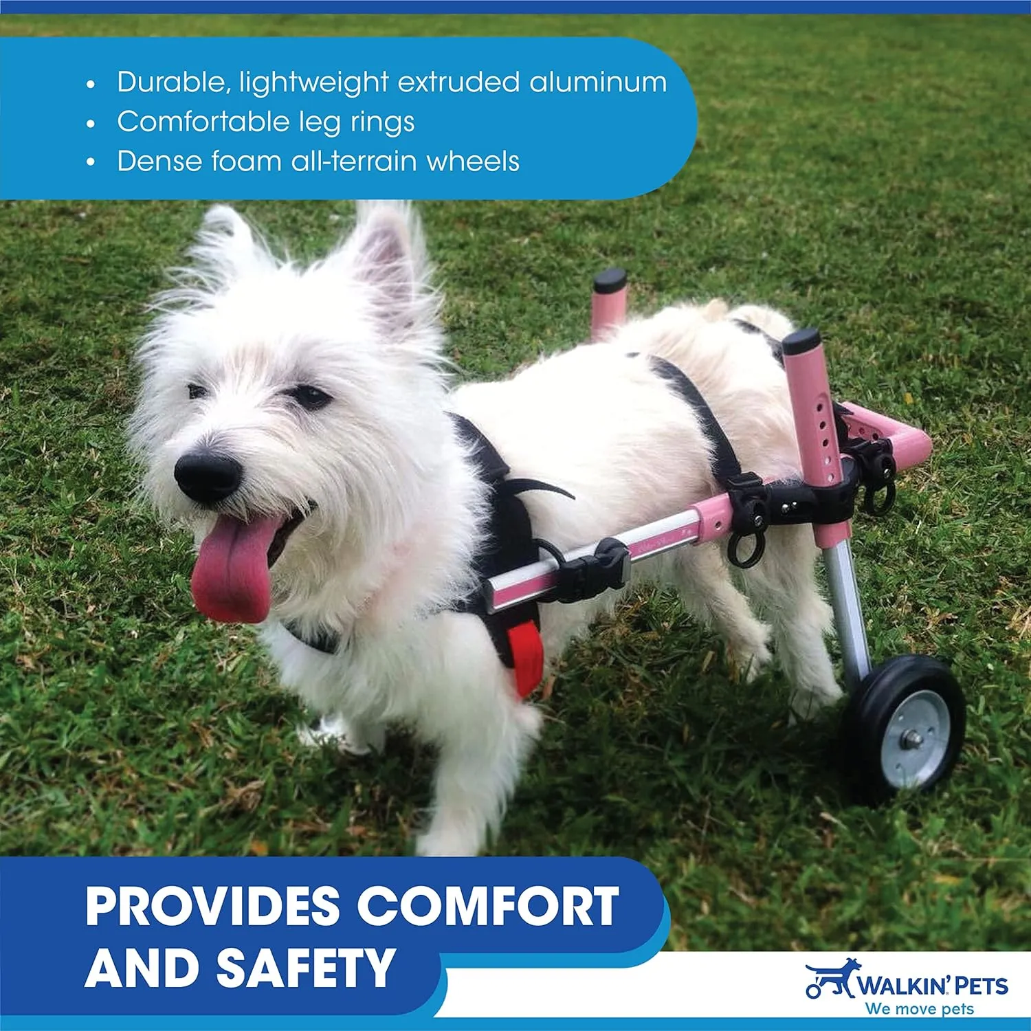Walkin' Wheels Small Dog Wheelchair, Lightweight Dog Wheelchair for Back Legs, 15-25 lbs, for 9-11 inches Leg Height - Blue