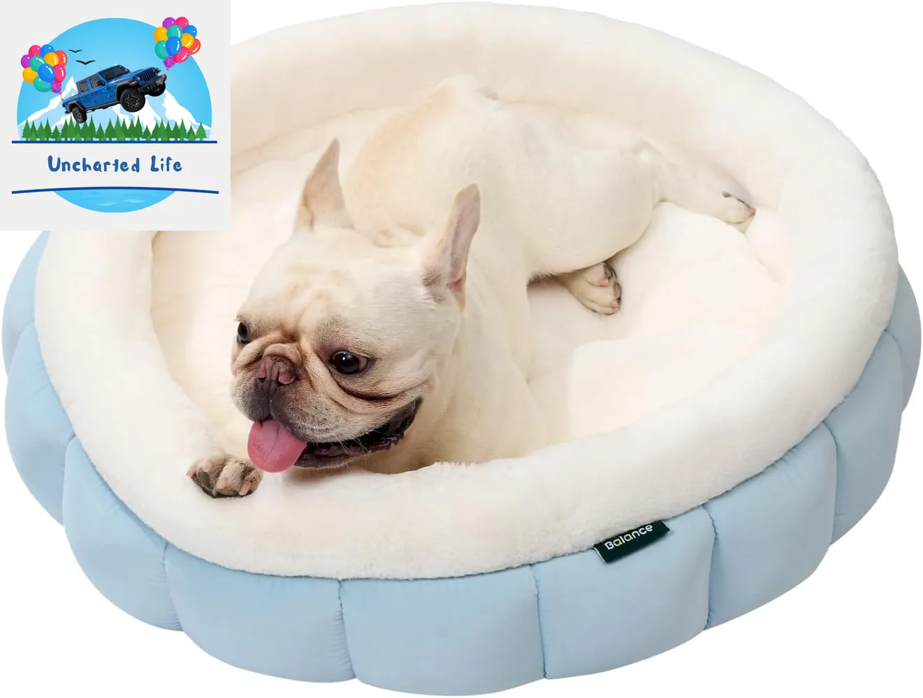 Washable Round Cat Bed – Soft Plush Nest for Kittens & Puppies