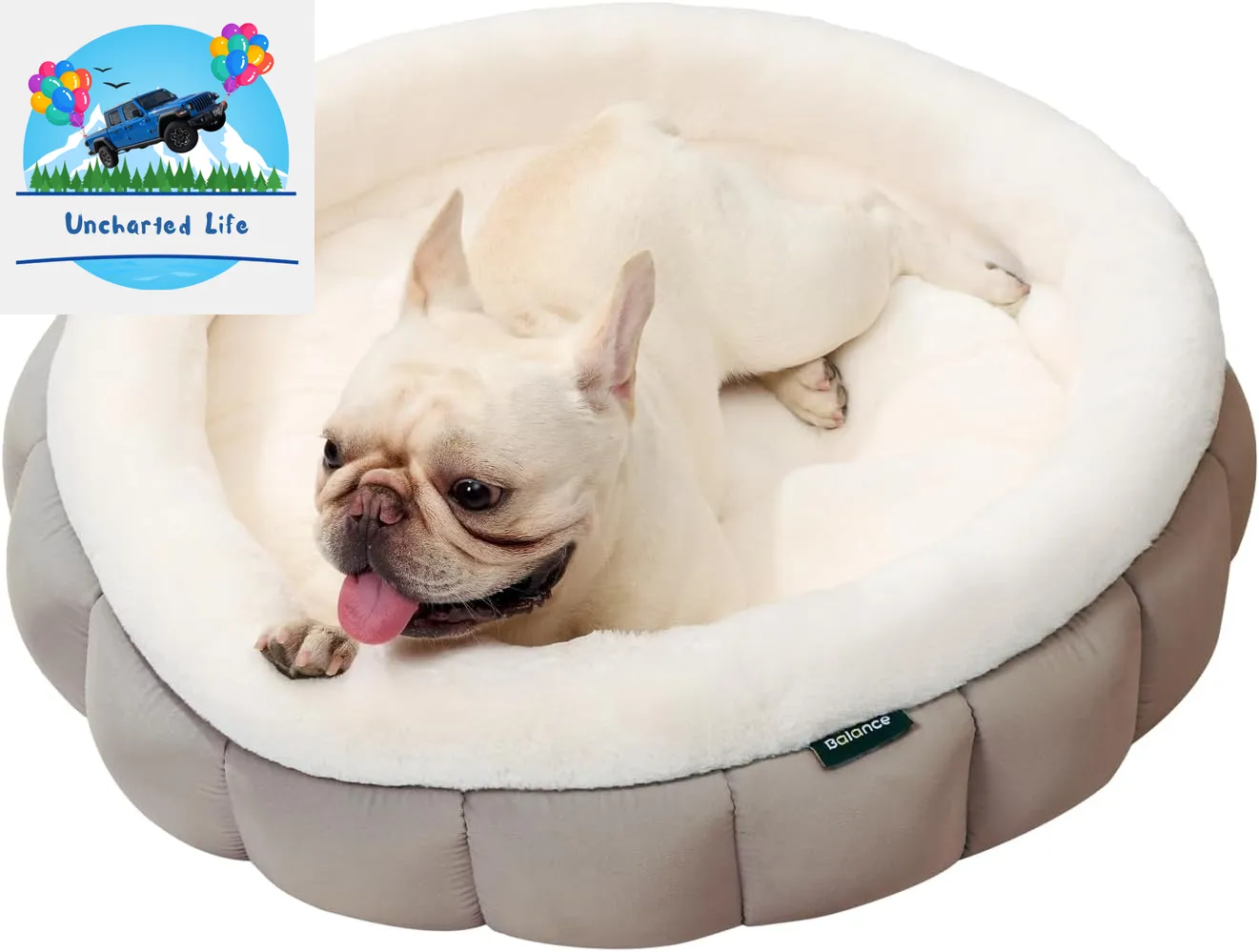 Washable Round Cat Bed – Soft Plush Nest for Kittens & Puppies