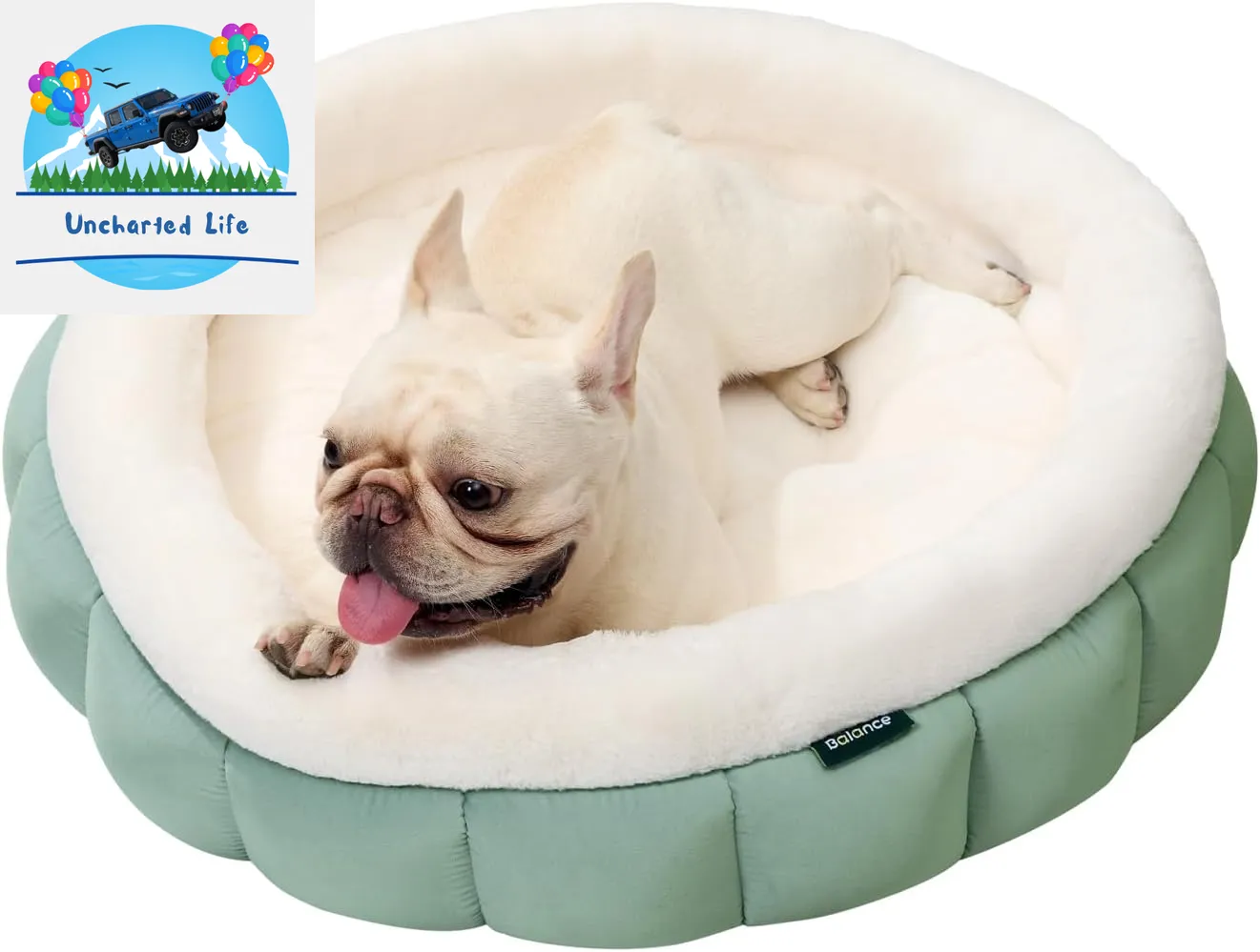 Washable Round Cat Bed – Soft Plush Nest for Kittens & Puppies