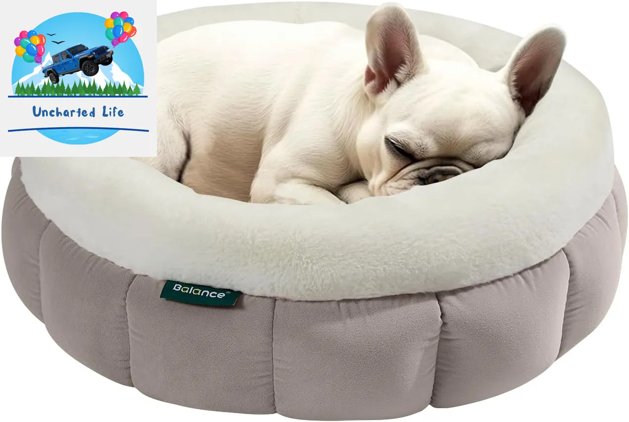 Washable Round Cat Bed – Soft Plush Nest for Kittens & Puppies