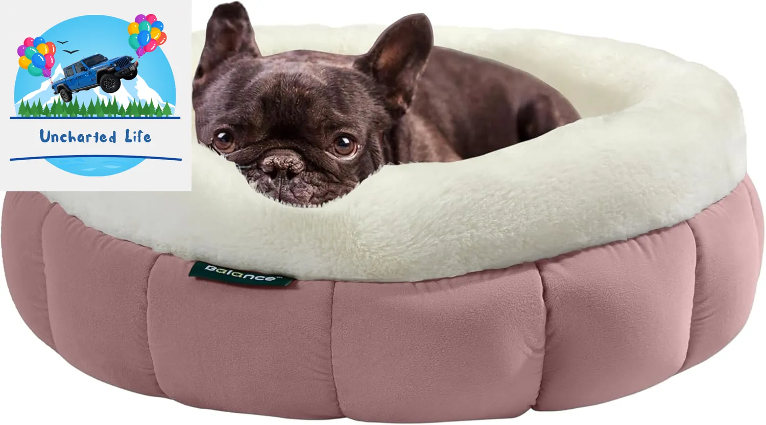 Washable Round Cat Bed – Soft Plush Nest for Kittens & Puppies