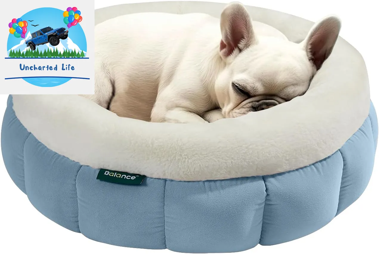 Washable Round Cat Bed – Soft Plush Nest for Kittens & Puppies
