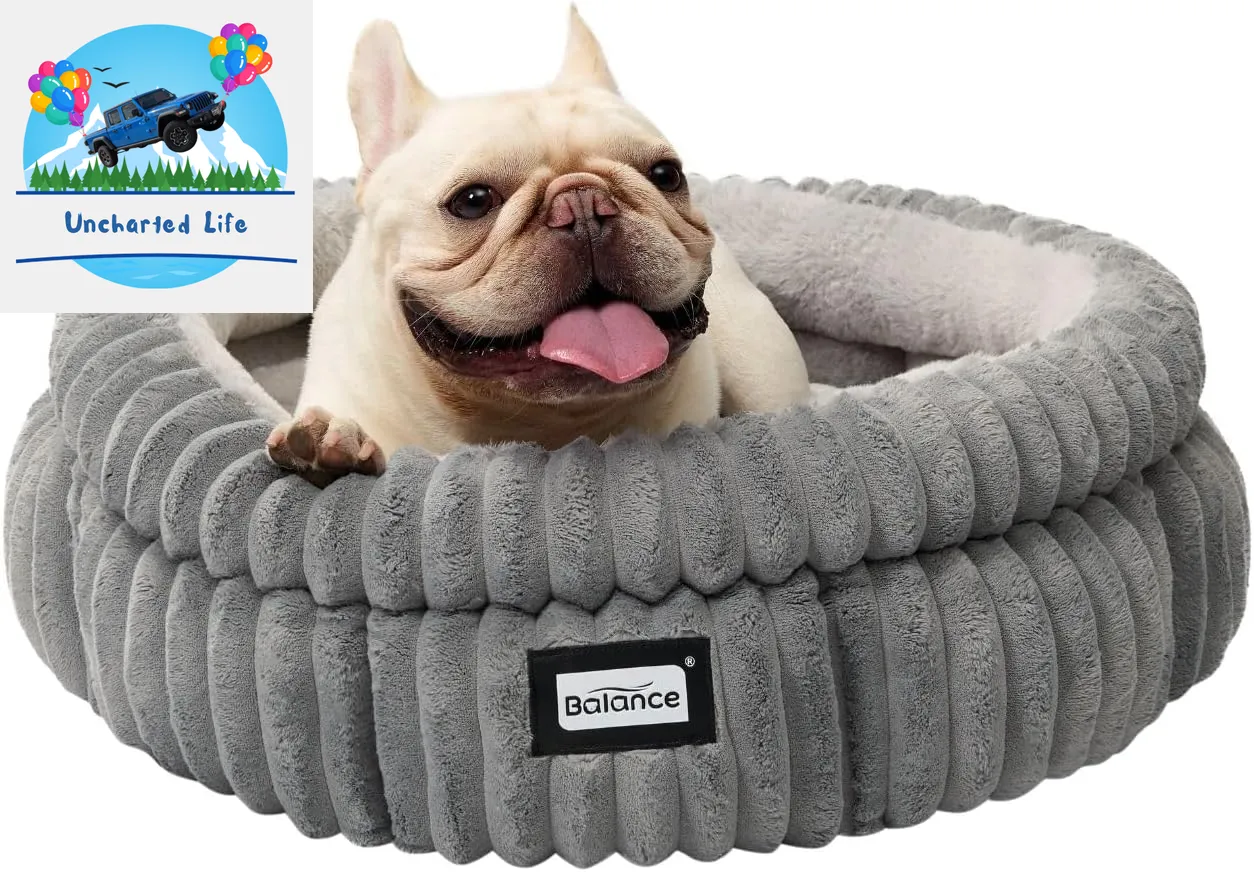 Washable Round Cat Bed – Soft Plush Nest for Kittens & Puppies