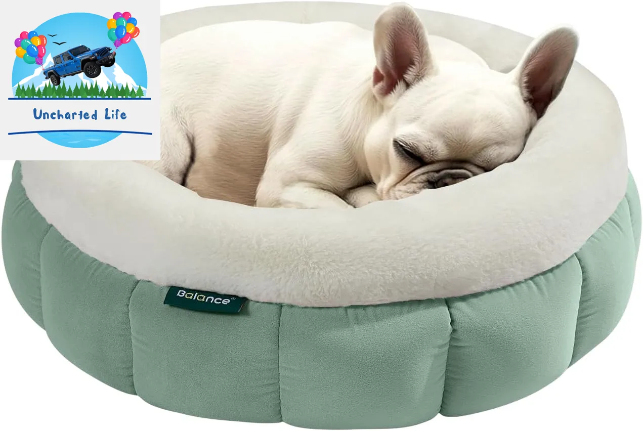 Washable Round Cat Bed – Soft Plush Nest for Kittens & Puppies