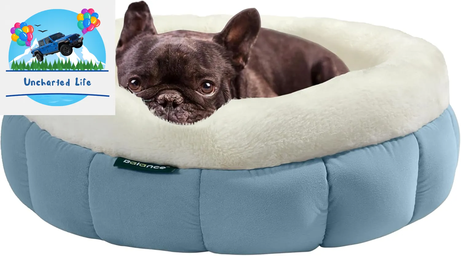 Washable Round Cat Bed – Soft Plush Nest for Kittens & Puppies