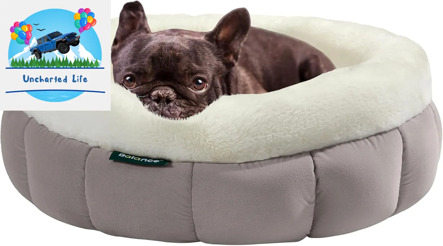 Washable Round Cat Bed – Soft Plush Nest for Kittens & Puppies