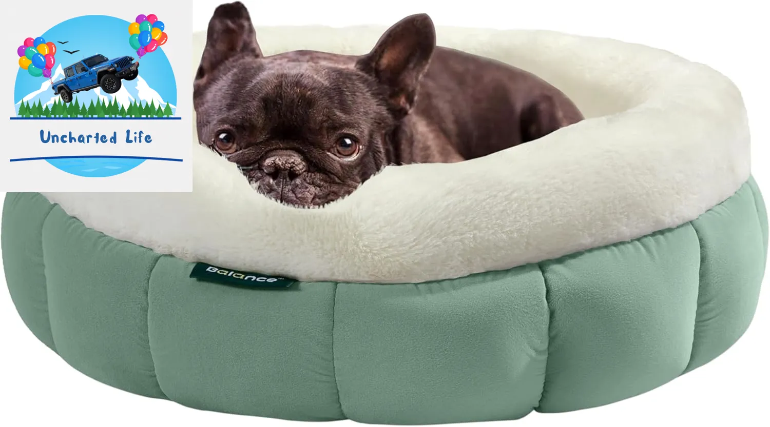 Washable Round Cat Bed – Soft Plush Nest for Kittens & Puppies