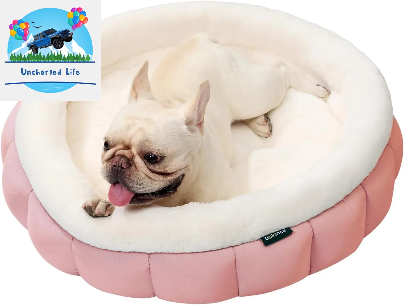 Washable Round Cat Bed – Soft Plush Nest for Kittens & Puppies