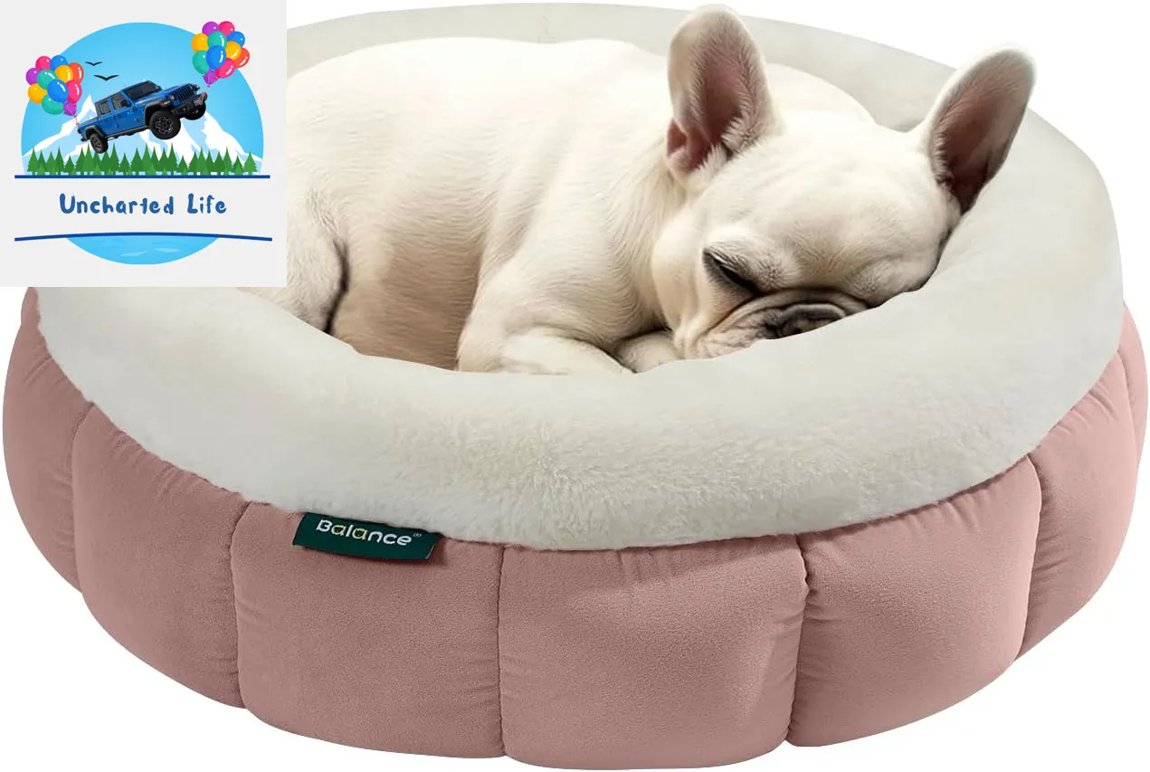 Washable Round Cat Bed – Soft Plush Nest for Kittens & Puppies
